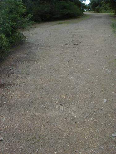 rrties1
Evidence of the railroad ties are barely visible in the ripples in the middle of the trail.
