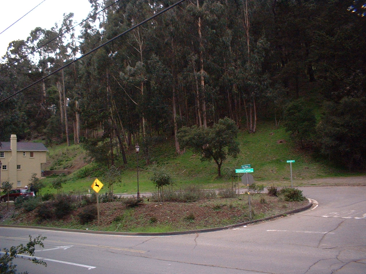 2004_0229_165327AA
This is a view of the Paso Robles Road/Shepard Canyon Road Intersection. The r.o.w. can be seen on the other side of the street, near the stopsign. The station was on the left side of the photo, near where the houses are now.
