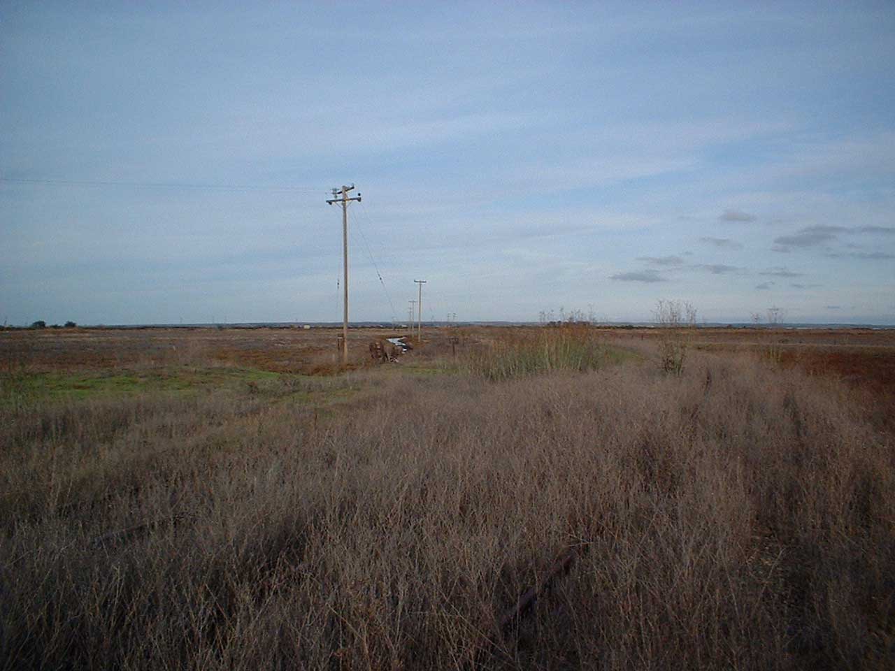 Mallard_ferry_landing_approach_track_Looking_Northeast
This is the approach track to the ferry slip at Mallard. Because the ferry slip burned, the tracks do not continue much further than this point.
