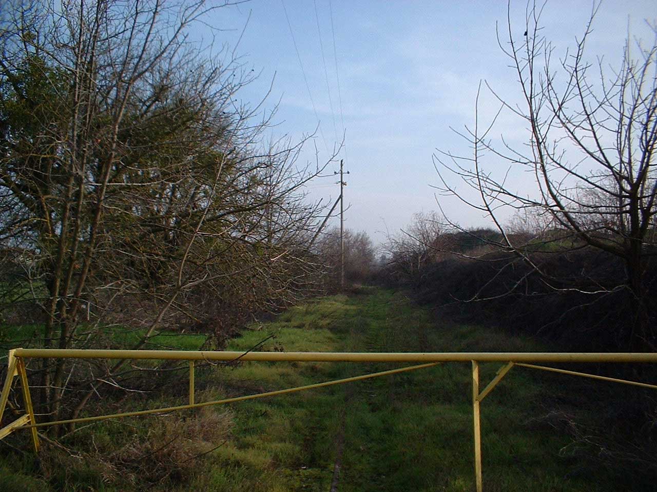 Spur_Clarksburg_facing_Southeast
A view of the spur to the sugar factory at Clarksburg.
