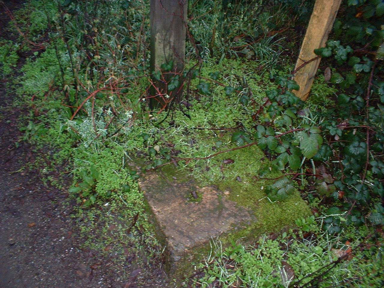 Wig_Wag_Base_Canyon
This is the base of a wig-wag signal that used to protect this crossing in Canyon. The wig-wag can be seen very clearly in the video "Electric Rails Around The Bay".
