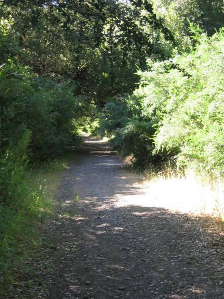 canyonrow1
Canyon ROW about 1/2 mile north of post office. Photo Sam Lewit on 5/30/04
