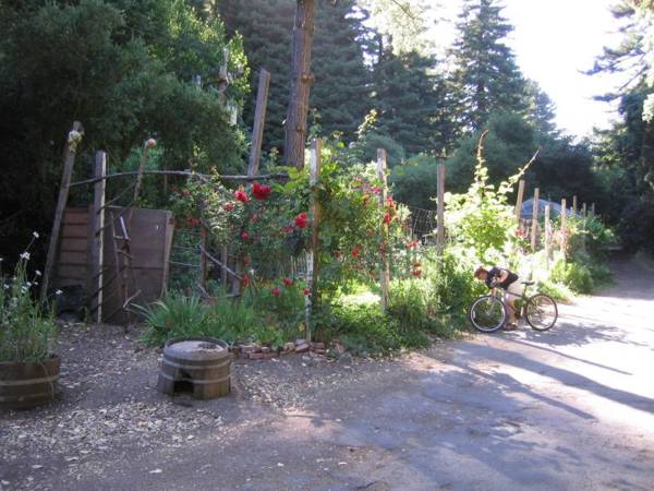 canyonrow2
Here's a garden run by the Canyon school right on the ROW. This is behind the post office. Photo Sam Lewit on 5/30/04
