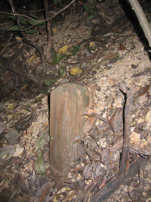 marker
For so few remnants of the SN, I was excited to see this. I don't know what it was, but it looks like some kind of mileage marker or something. The top has a bevel so it appears that this was the correct height. The top is roughly 2 feet above the roadbed
