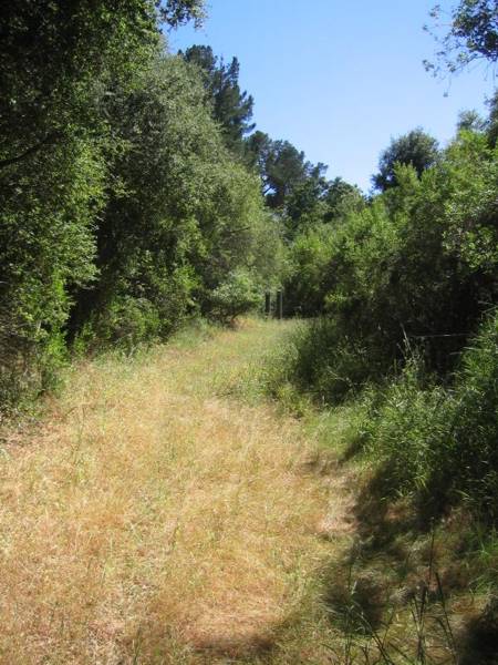 stmarys2
St Mary's College in Moraga. This is the ROW looking Southeast towards the school entrance road. This ROW was pretty rugged for being on the school grounds. We stopped initially to get the picture above with the inset. When we told the guard at the gateho
