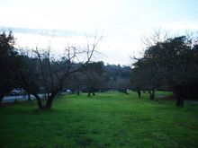 Filename=R_O_W_Reliez_Looking_West.jpg
Filesize=127KiB
Dimensions=1280x960
Date added=May 09, 2009 R_O_W_Reliez_Looking_West.jpg