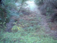 Filename=Redwood_Tunnel_East_Portal_2.jpg
Filesize=345KiB
Dimensions=1280x960
Date added=May 09, 2009 Redwood_Tunnel_East_Portal_2.jpg