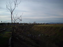 Filename=Subway_Undercrossing_F.jpg
Filesize=364KiB
Dimensions=1280x960
Date added=May 09, 2009 Subway_Undercrossing_F.jpg