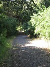Filename=canyonrow1.jpg
Filesize=66KiB
Dimensions=450x600
Date added=May 09, 2009 canyonrow1.jpg