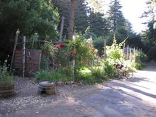 Filename=canyonrow2.jpg
Filesize=59KiB
Dimensions=600x450
Date added=May 09, 2009 canyonrow2.jpg