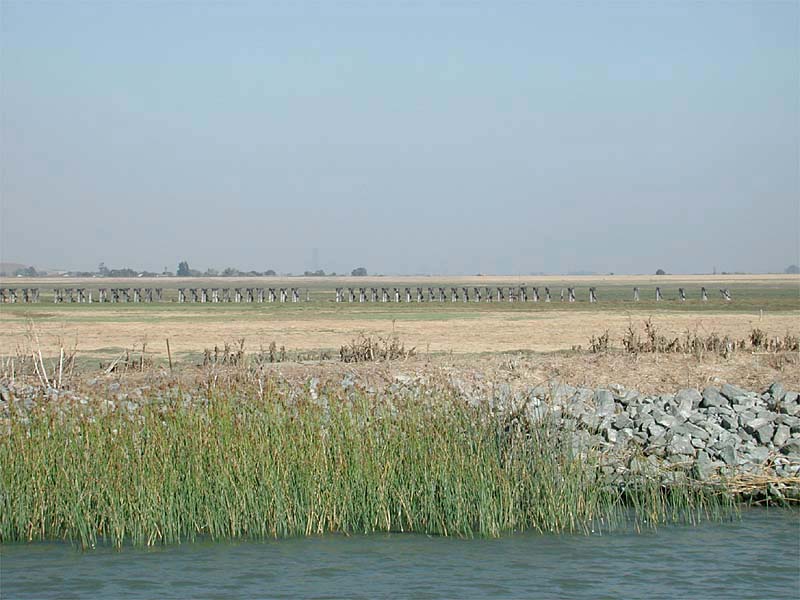 w_SN_montezuma_north
Montezuma Slough looking northward (SN in distance). Summer of 2002. <i>Courtesy of John Stashik</i>
