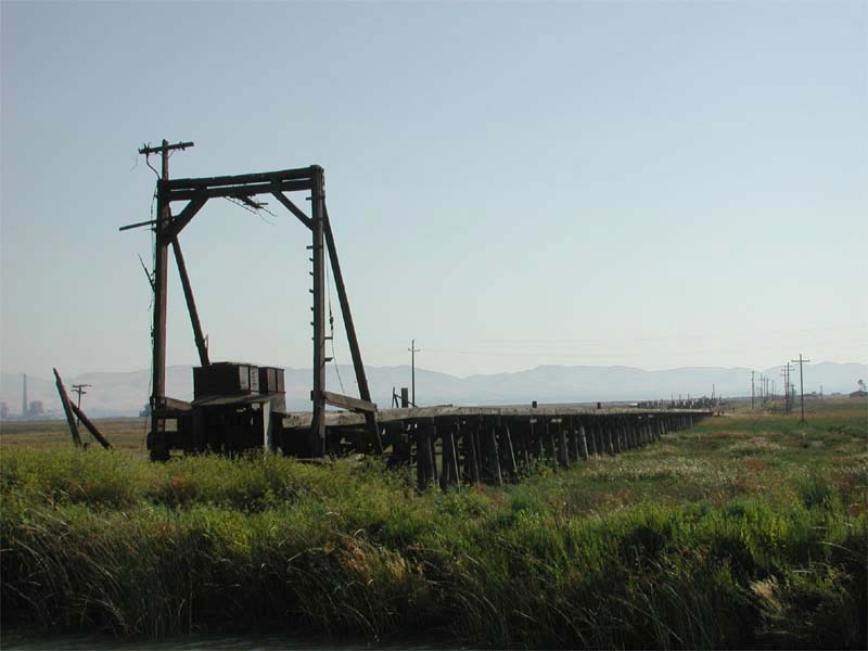 w_SN_montezuma_south
Montezuma Slough looking southward (toward Chipps) showing what's left. Summer 2002. Courtesy of John Stashik
